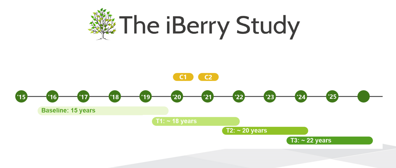 Tijdschema The iBerry study